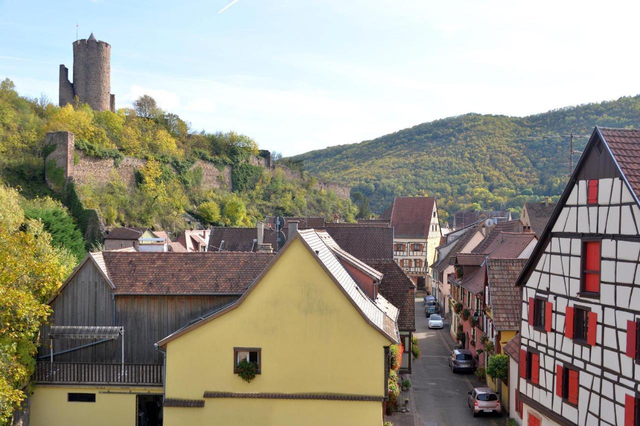 Gite Les Oiseaux Kaysersberg-Vignoble Exterior foto